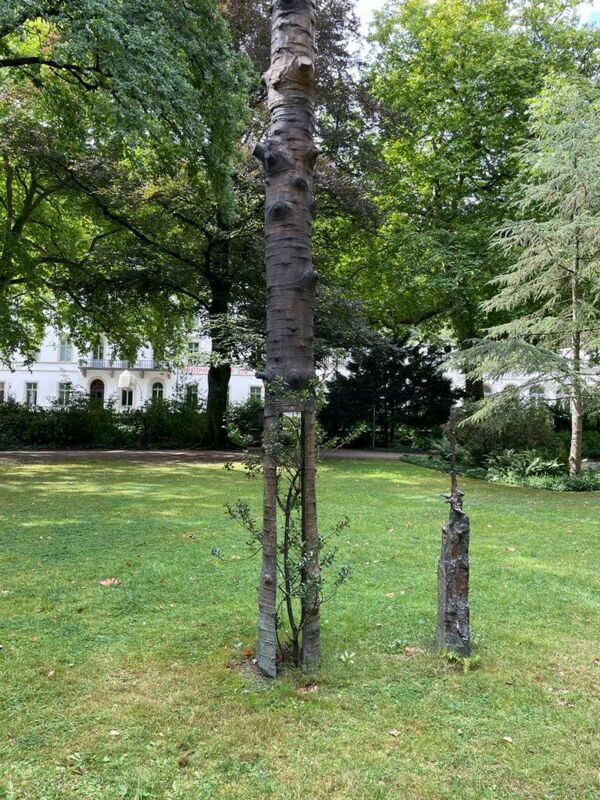 Giuseppe Penone - L’ombra del bronzo / Der Schatten der Bronze, 2002 / erworben 2006 mit Unterstüzung durch das Land NRW, die Kunststiftung NRW, die Irene-Zintzen-Stiftung, die Sparkasse Kleve und die Volksbank Kleverland, Foto: HD